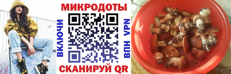 Галлюциногенные грибы ЛСД  Купить закладки  Петровск-Забайкальский 