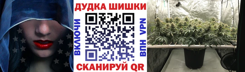 Каннабис OG Kush Петровск-Забайкальский